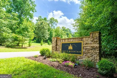 Lot 20 Loftis Mountain, Blairsville, GA 30512 - Photo 3