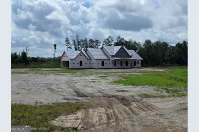 4421 Altamaha School Road, Baxley, GA 31513 - Photo 1