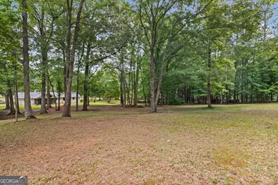 183 Goodwyn Road, Newnan, GA 30263 - Photo 51