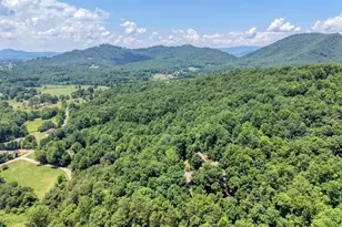 2270 Valley View Dr, Hiawassee, GA 30546 - Photo 39