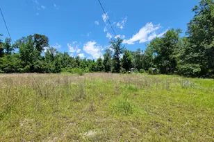 267 Quail Rdg Dr, Adrian, GA 31002 - Photo 15