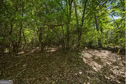196 Cinnamon Fern Lane, Jasper, GA 30143 - Photo 3