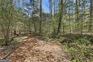 341 Brookwood Ln, Clarkesville, GA 30523 - Photo 87