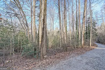 341 Brookwood Lane, Clarkesville, GA 30523 - Photo 71