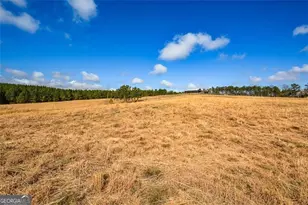 119 Inland 15 Acres Dr, Talking Rock, GA 30175 - Photo 1