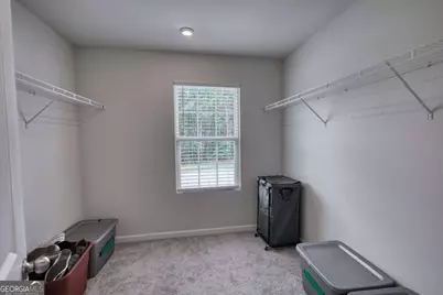 20 Great Canyon Lane, Covington, GA 30016 - Photo 61