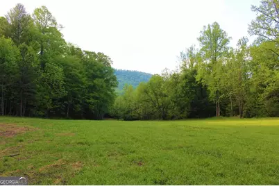 0 Highway 246, Dillard, GA 30537 - Photo 17