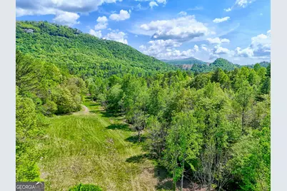 0 Highway 246, Dillard, GA 30537 - Photo 3