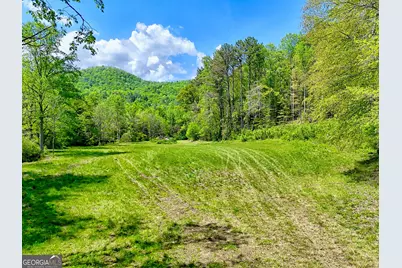 0 Highway 246, Dillard, GA 30537 - Photo 7