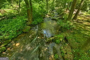 373 Barnes Creek Rd, Ellijay, GA 30540 - Photo 17