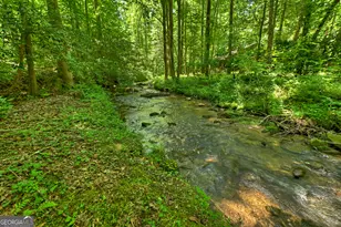 373 Barnes Creek Rd, Ellijay, GA 30540 - Photo 13