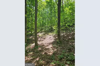 549 NE Myriad Way #549, Ranger, GA 30734 - Photo 13