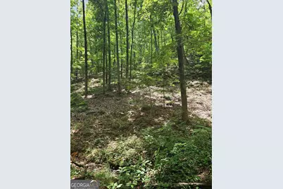 549 NE Myriad Way #549, Ranger, GA 30734 - Photo 5