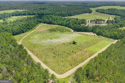 854 Bell Road, Millen, GA 30442 - Photo 21