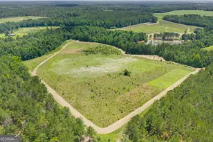 854 Bell Rd, Millen, GA 30442 - Photo 21