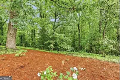2218 J Warren Road, Cornelia, GA 30531 - Photo 37
