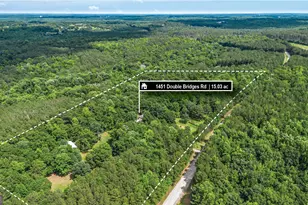 1451 Double Bridges Rd, Madison, GA 30650 - Photo 3