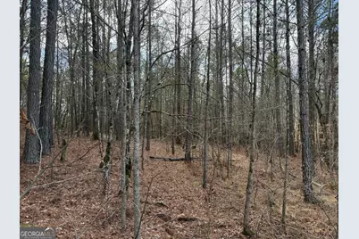 4.5 Acres Whatley Road N, Lagrange, GA 30240 - Photo 17