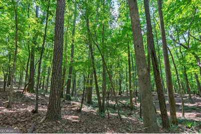 1800 Elder Mill Road, Watkinsville, GA 30677 - Photo 69