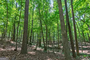 1800 Elder Mill Rd, Watkinsville, GA 30677 - Photo 69