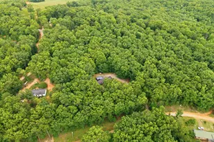 450 Snowy River Pl, Clarkesville, GA 30523 - Photo 35