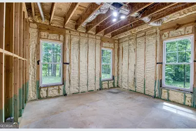 195 Buckeye Farms Drive, Moreland, GA 30259 - Photo 41