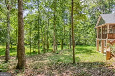 195 Buckeye Farms Drive, Moreland, GA 30259 - Photo 57