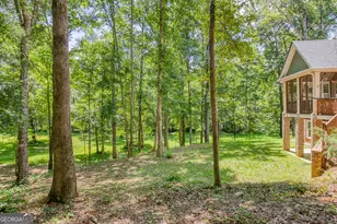 195 Buckeye Farms Dr, Moreland, GA 30259 - Photo 57
