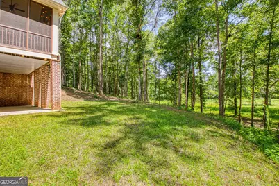 195 Buckeye Farms Drive, Moreland, GA 30259 - Photo 53