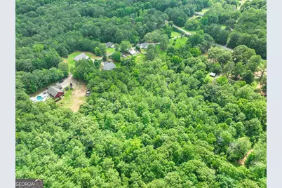 884 Dolly Nixon Road, Senoia, GA 30276 - Photo 9