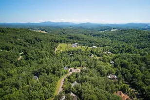 141 Long View Lane, Blue Ridge, GA 30513 - Photo 41