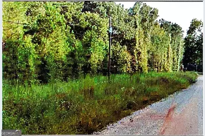 0 Felton McMichael Rd & Hayes - Landlot 090 Road, Monticello, GA 31064 - Photo 3