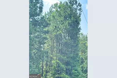 0 Felton McMichael Rd & Hayes - Landlot 090 Road, Monticello, GA 31064 - Photo 7