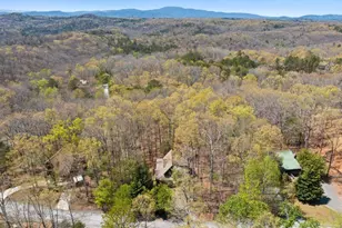 236 Logan Dr, Mineral Bluff, GA 30559 - Photo 5