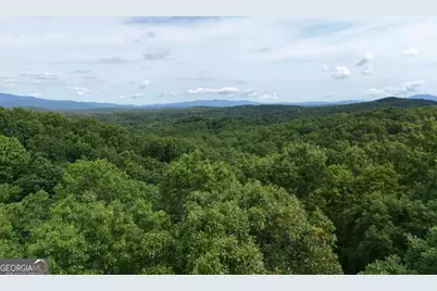Lot 131 Laurel Crossing, Blue Ridge, GA 30513 - Photo 13