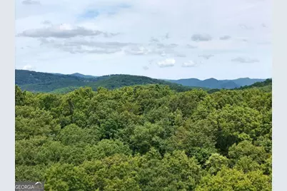 Lot 131 Laurel Crossing, Blue Ridge, GA 30513 - Photo 17