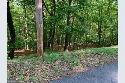 Lot 131 Laurel Crossing, Blue Ridge, GA 30513 - Photo 37