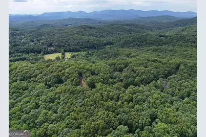 Lot 131 Laurel Crossing, Blue Ridge, GA 30513 - Photo 27