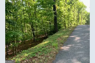 Lot 131 Laurel Crossing, Blue Ridge, GA 30513 - Photo 39