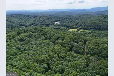 Lot 131 Laurel Crossing, Blue Ridge, GA 30513 - Photo 29
