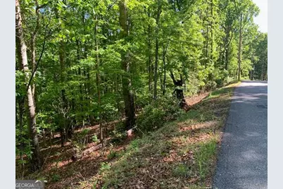 Lot 131 Laurel Crossing, Blue Ridge, GA 30513 - Photo 5