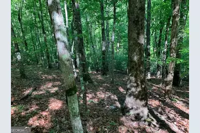 Lot 131 Laurel Crossing, Blue Ridge, GA 30513 - Photo 33
