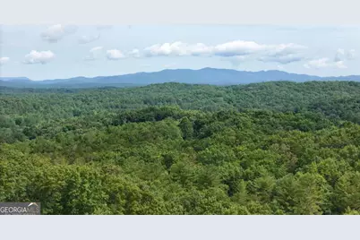 Lot 131 Laurel Crossing, Blue Ridge, GA 30513 - Photo 19