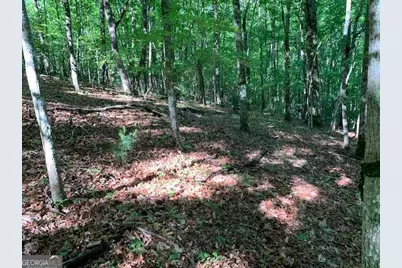 Lot 131 Laurel Crossing, Blue Ridge, GA 30513 - Photo 35
