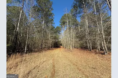2375 Factory Hole Drive, Bowman, GA 30624 - Photo 17