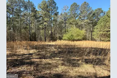 2375 Factory Hole Drive, Bowman, GA 30624 - Photo 37