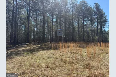 2375 Factory Hole Drive, Bowman, GA 30624 - Photo 33