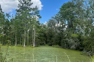 456 W Hwy 37, Lakeland, GA 31635 - Photo 15