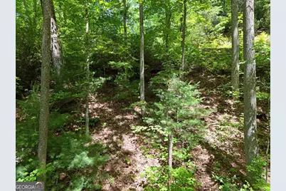 Lot 12 Hightower Ridge, Hiawassee, GA 30546 - Photo 5
