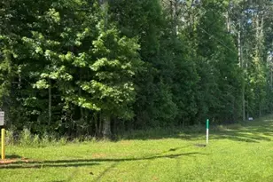 803 Squirrel Hollow Rd, Monroe, GA 30655 - Photo 1